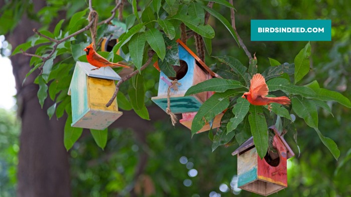 what color birdhouse attracts cardinals